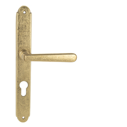 Klika na dveře NI - ALT WIEN Štít NAT - Natural mosaz nelakovaná