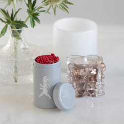 SN - DESIGNOVÉ ZÁPALKY V DÓZE Šedá lesklá / stříbrný lesklý emblém