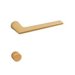 Klika na dveře VM - LIEVE OLM - Zlatá matná (02)