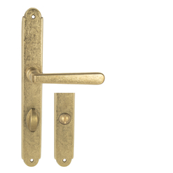 Klika na dveře NI - ALT WIEN Štít NAT - Natural mosaz nelakovaná