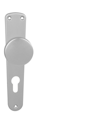 Koule na dveře BA - KOULE NA ŠTÍTU 2200 - B F1 - Stříbrná matná