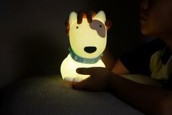 DHINK433-21 DHK - Silikonová noční lampička - Pitbull 