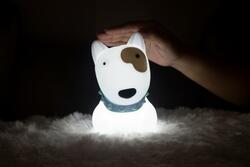 DHINK433-21 DHK - Silikonová noční lampička - Pitbull 