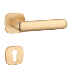 Klika na dveře AS - OLEA - QR 7S OLS - Mosaz broušená