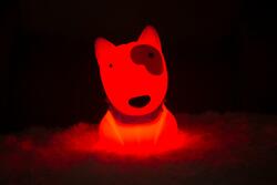 DHINK433-21 DHK - Silikonová noční lampička - Pitbull 