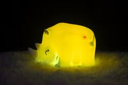 DHINK437-01 DHK - Silikonová noční lampička - Nosorožec 