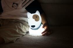 DHINK433-21 DHK - Silikonová noční lampička - Pitbull 