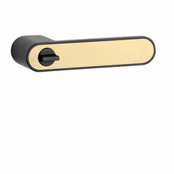 Klika na dveře ASG - GUAVA - RT s uzamykáním BS/OLS - Černá matná / mosaz broušená