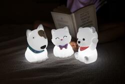 DHINK433-21 DHK - Silikonová noční lampička - Pitbull 