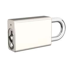 DK - PENTA plus S visací zámek - třmen 25 VHS 90 NP - Nikl perla